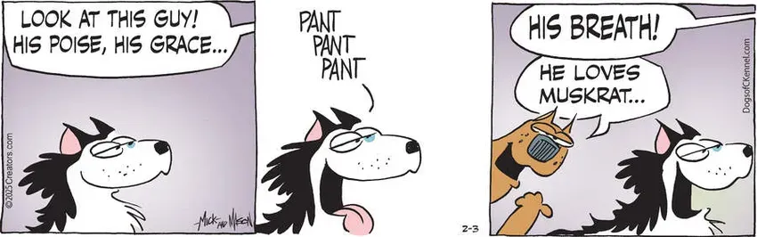 Dogs of C-Kennel for Feb 03, 2025
