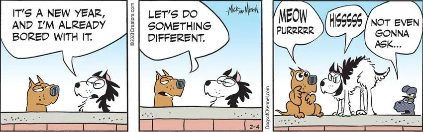 Dogs of C-Kennel for Feb 04, 2023