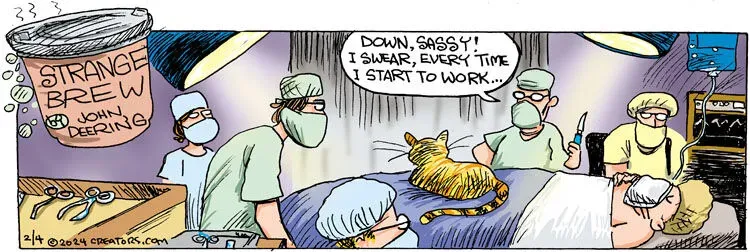 Strange Brew for Feb 04, 2024