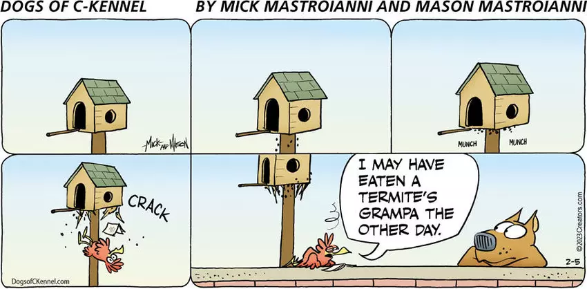 Dogs of C-Kennel for Feb 05, 2023