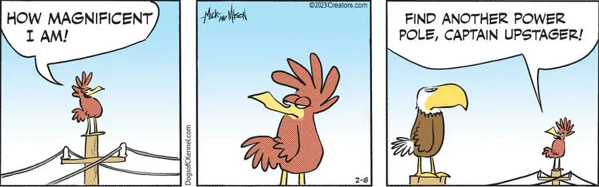 Dogs of C-Kennel for Feb 06, 2023