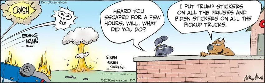 Dogs of C-Kennel for Feb 07, 2023