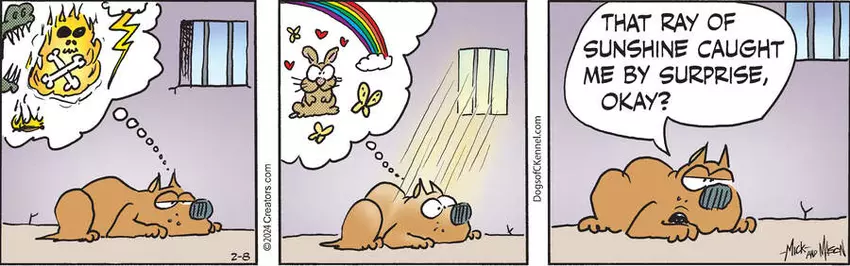 Dogs of C-Kennel for Feb 08, 2024