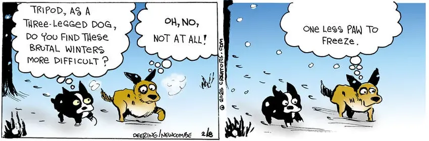 Zack Hill for Feb 08, 2025