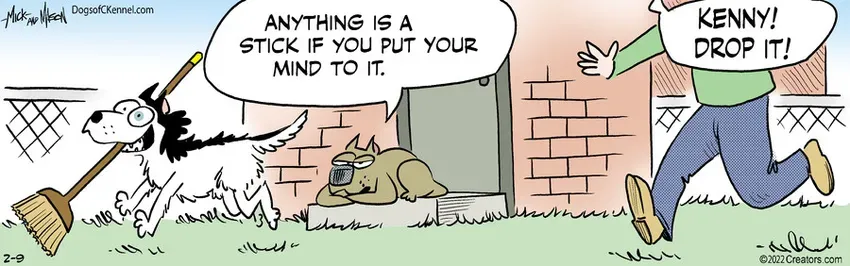 Dogs of C-Kennel for Feb 09, 2022