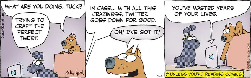 Dogs of C-Kennel for Feb 09, 2023
