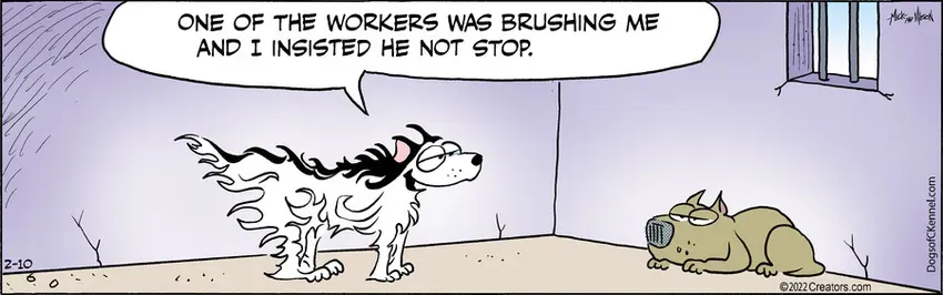 Dogs of C-Kennel for Feb 10, 2022