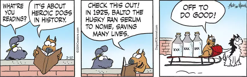 Dogs of C-Kennel for Feb 10, 2024