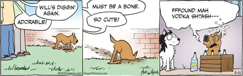 Dogs of C-Kennel for Feb 11, 2023