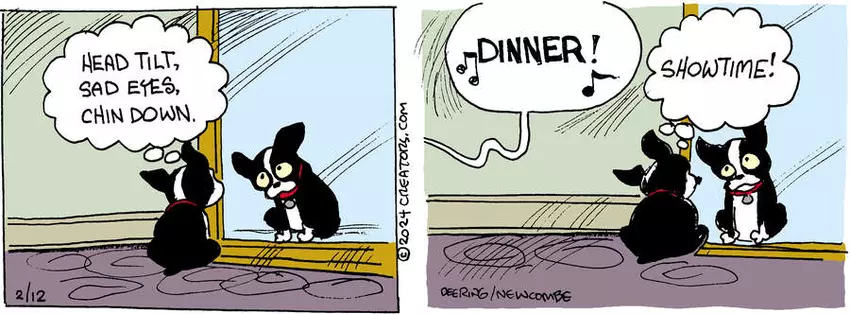 Zack Hill for Feb 12, 2024