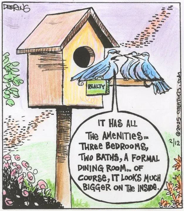 Strange Brew for Feb 12, 2025