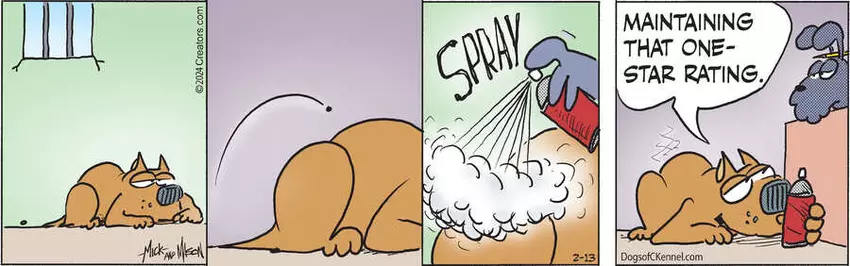 Dogs of C-Kennel for Feb 13, 2024
