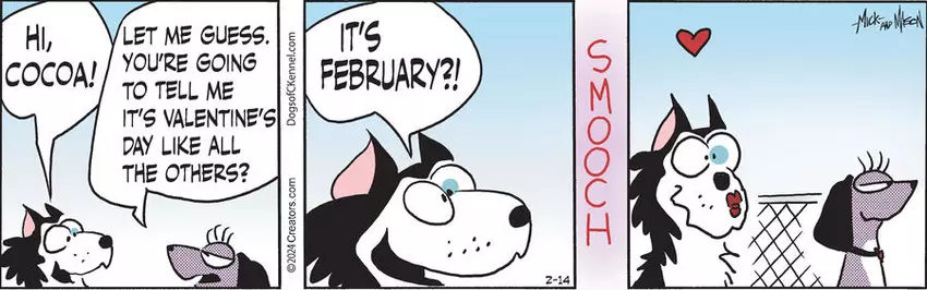 Dogs of C-Kennel for Feb 14, 2024