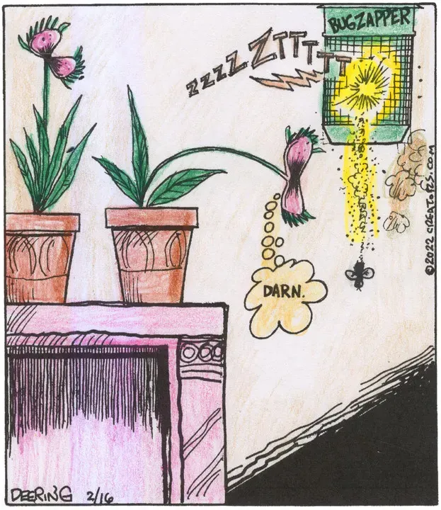 Strange Brew for Feb 16, 2022