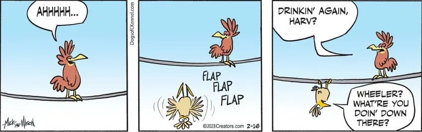 Dogs of C-Kennel for Feb 16, 2023