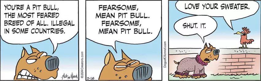 Dogs of C-Kennel for Feb 16, 2024