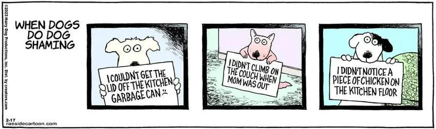 The Other Coast for Feb 17, 2023