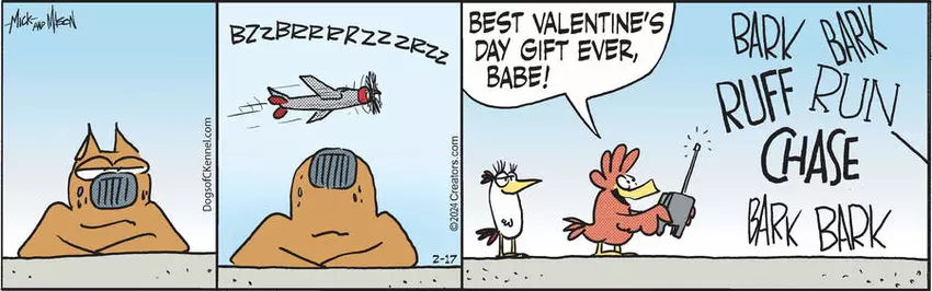 Dogs of C-Kennel for Feb 17, 2024