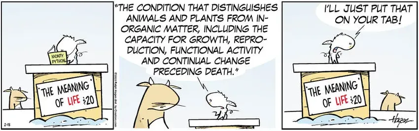 The Barn for Feb 18, 2023