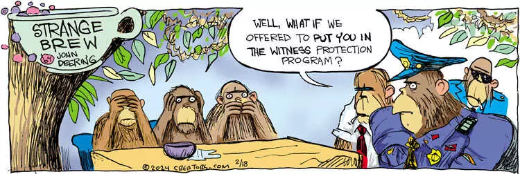 Strange Brew for Feb 18, 2024