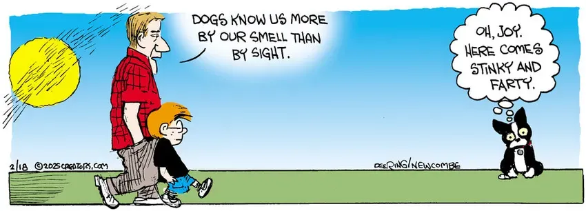 Zack Hill for Feb 18, 2025