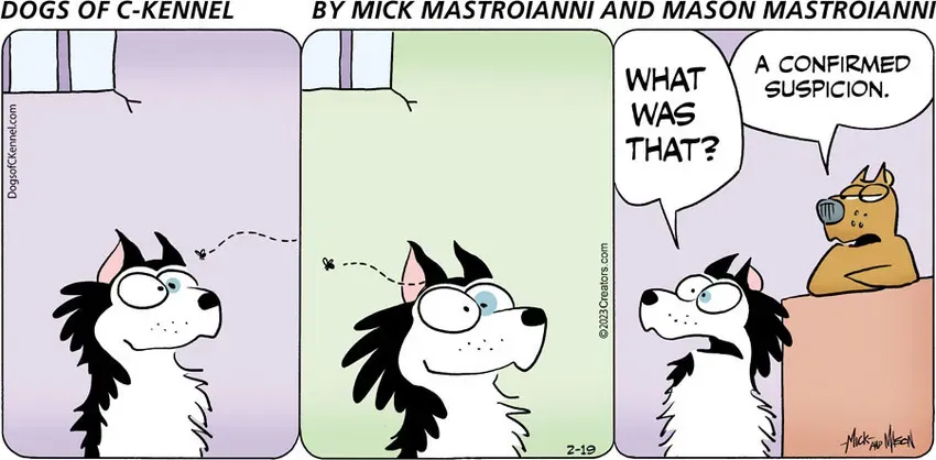 Dogs of C-Kennel for Feb 19, 2023