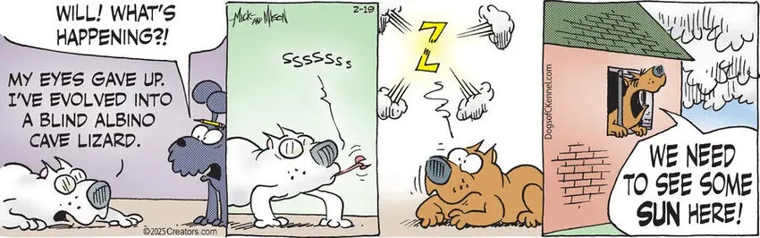 Dogs of C-Kennel for Feb 19, 2025