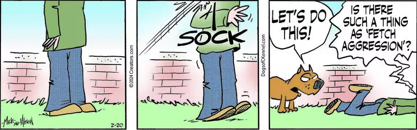 Dogs of C-Kennel for Feb 20, 2024