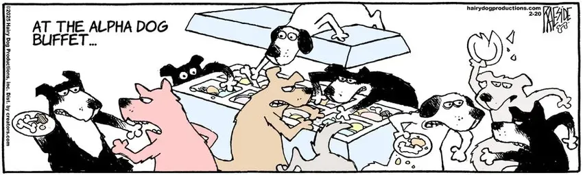 The Other Coast for Feb 20, 2025