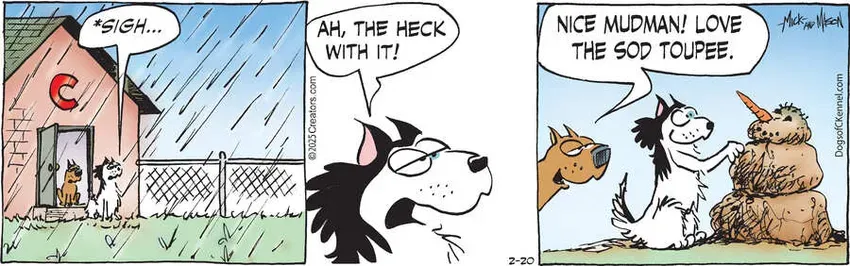 Dogs of C-Kennel for Feb 20, 2025