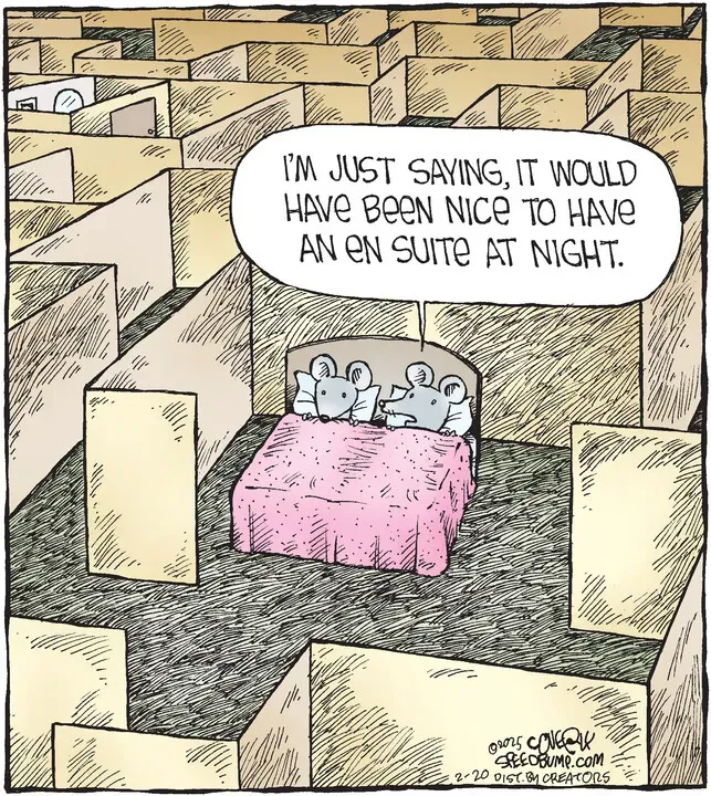 Speed Bump for Feb 20, 2025