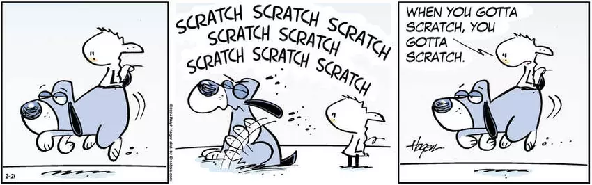 The Barn for Feb 21, 2024