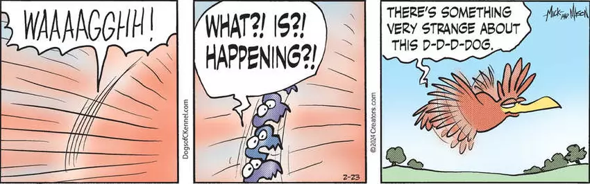 Dogs of C-Kennel for Feb 23, 2024