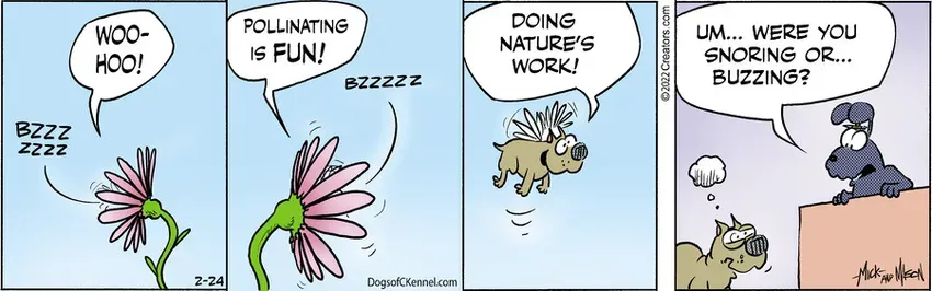Dogs of C-Kennel for Feb 24, 2022