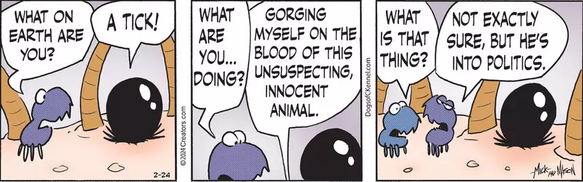 Dogs of C-Kennel for Feb 24, 2024