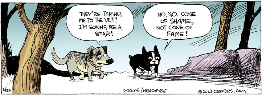 Zack Hill for Feb 25, 2022