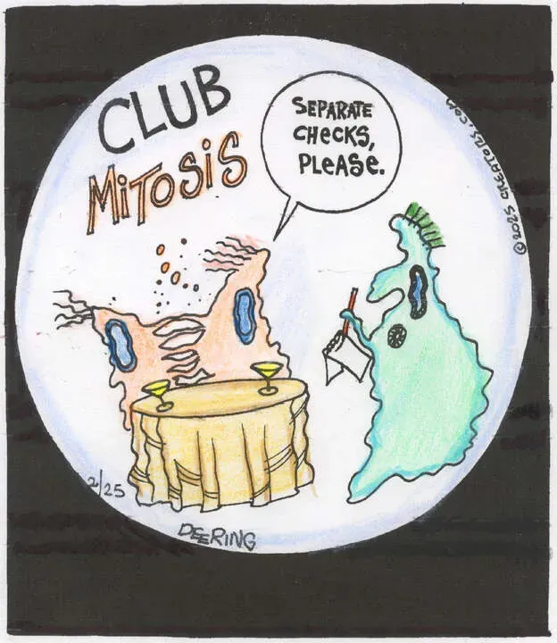 Strange Brew for Feb 25, 2025