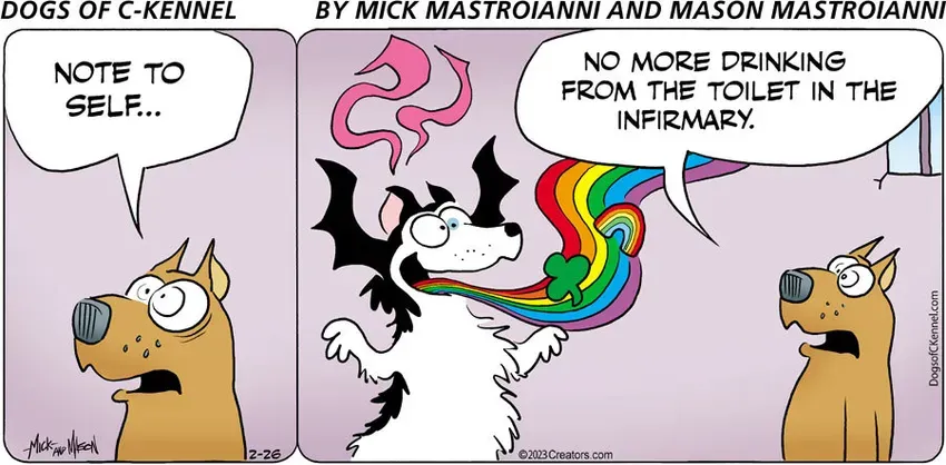 Dogs of C-Kennel for Feb 26, 2023