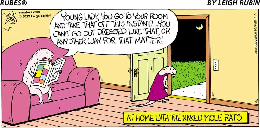 Rubes® for Feb 27, 2022