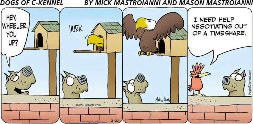 Dogs of C-Kennel for Feb 27, 2022