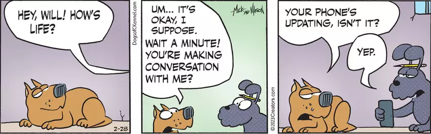 Dogs of C-Kennel for Feb 28, 2023