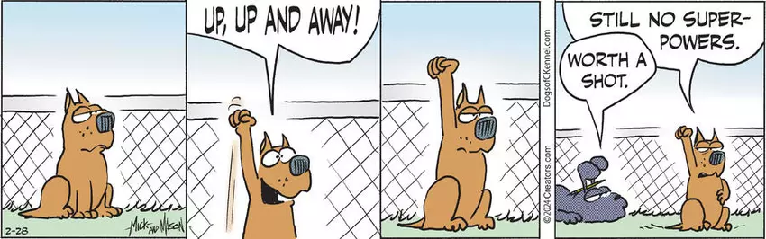 Dogs of C-Kennel for Feb 28, 2024