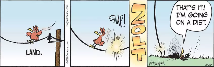 Dogs of C-Kennel for Feb 29, 2024