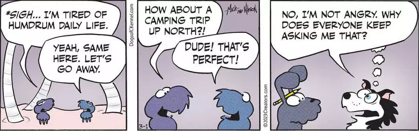 Dogs of C-Kennel for Mar 01, 2023