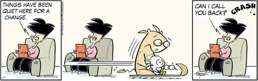 The Barn for Mar 01, 2024