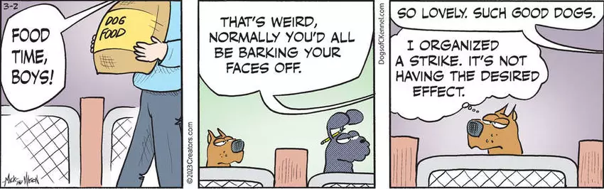 Dogs of C-Kennel for Mar 02, 2023