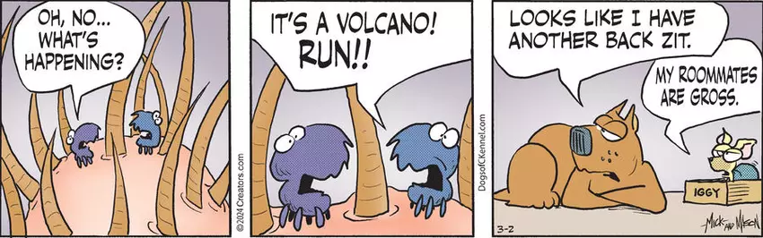 Dogs of C-Kennel for Mar 02, 2024