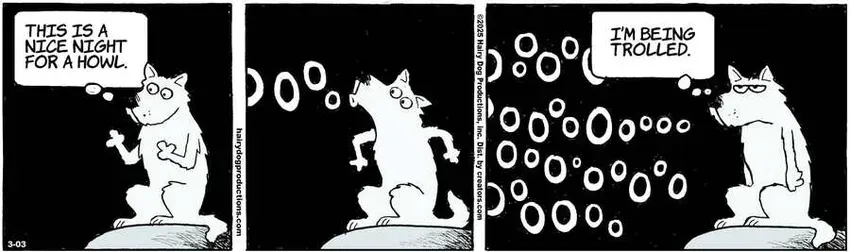 The Other Coast for Mar 03, 2025