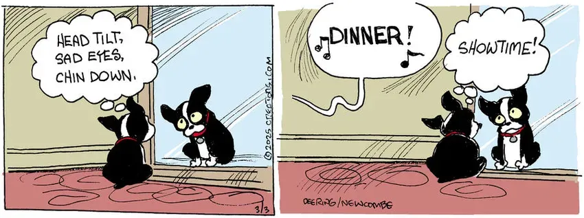 Zack Hill for Mar 03, 2025