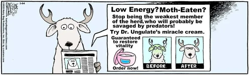 The Other Coast for Mar 04, 2025